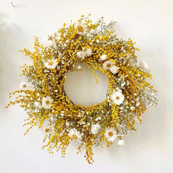 flowerwreath ⚘ mimosa's wreath  ミモザ リース﻿ 1枚目の画像