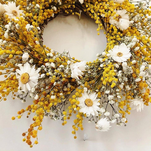flowerwreath ⚘ mimosa's wreath  ミモザ リース﻿ 2枚目の画像