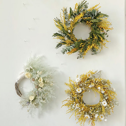 flowerwreath ⚘ mimosa's wreath  ミモザ リース﻿ 3枚目の画像