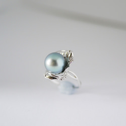淺藍色大溪地黑珍珠戒指, 開口戒指, Free Size, 925純銀鍍白金, 簡潔花朵設計, 光澤極佳, 全球免郵費 第3張的照片