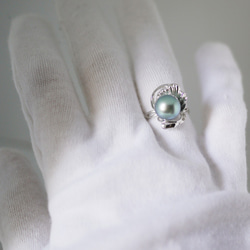 ライトブルータヒチ黒真珠の指輪、開環、フリーサイズ、925スターリングシルバー、シンプルな花のデザイン、優れた光沢、世界送料無料 10枚目の画像