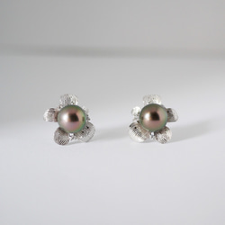 大溪地黑珍珠耳環 - 銅色,正圓,925純銀材質,花朵耳釘設計 第3張的照片