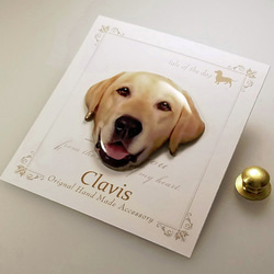 ラブラドールレトリーバー【Mサイズ】ピンバッジ ペット服