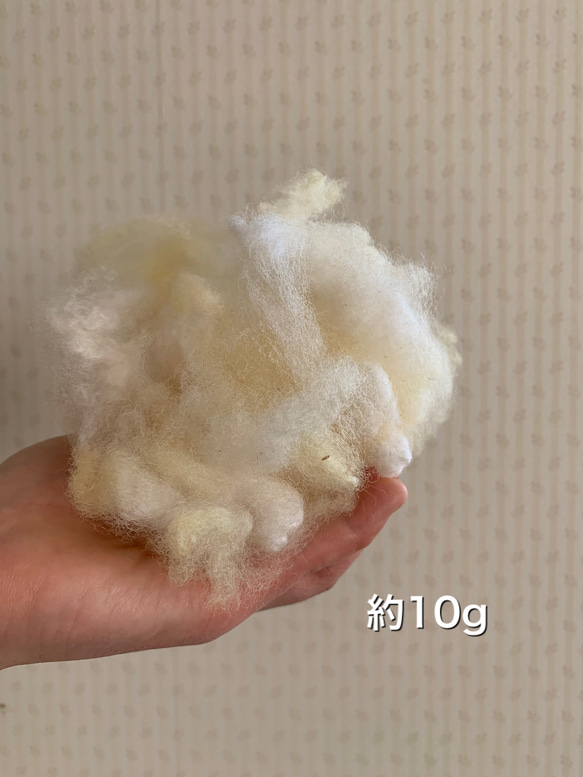 【素材のおすそ分け】北海道産羊毛 天然色 手紡ぎ フェルトクラフト 織 10g 1枚目の画像