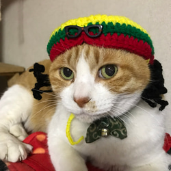 ★ドクターxに出演に猫のベンケーシーのコスプレ帽子 1枚目の画像