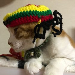 ★ドクターxに出演に猫のベンケーシーのコスプレ帽子 2枚目の画像