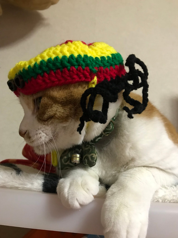 ★ドクターxに出演に猫のベンケーシーのコスプレ帽子 2枚目の画像