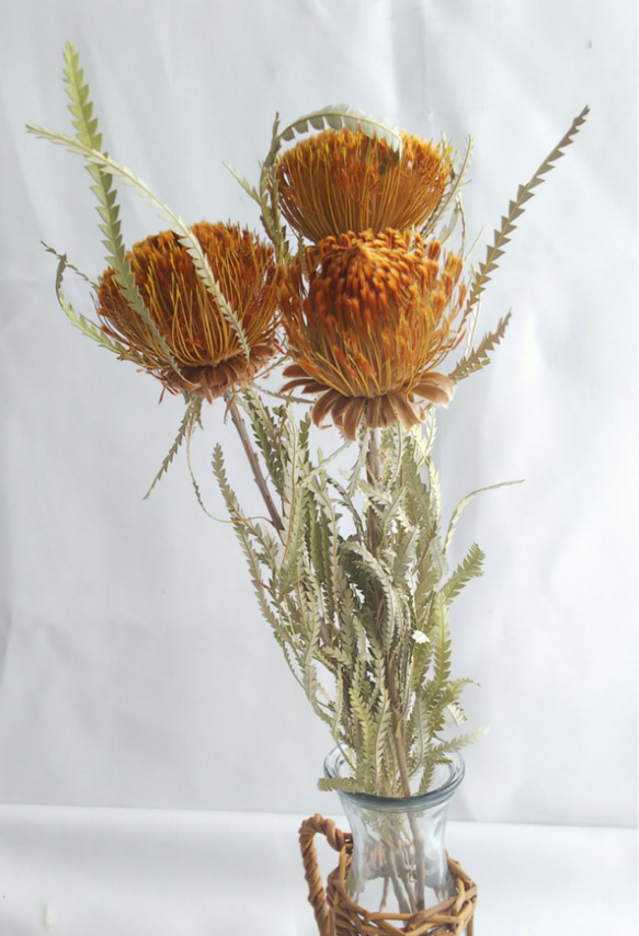 ドライアンドラフォルモーサ 3本セット ドライフラワー mamemona