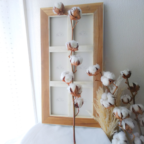 コットンフラワー　さまざま詰め合わせ コットンフラワー さまざま詰め合わせ