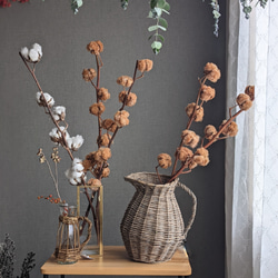 1.コットンツリー コットンフラワーコットンツリーのドライフラワー - mamemona | minne