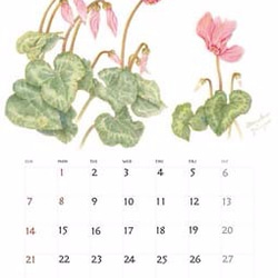2018年版　色鉛筆で描いた植物のカレンダーA4中綴じ2つ折りタイプ 2枚目の画像