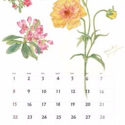2018年版　色鉛筆で描いた植物のカレンダーA4中綴じ2つ折りタイプ 3枚目の画像