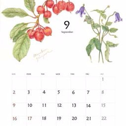 2018年版　色鉛筆で描いた植物のカレンダーA4中綴じ2つ折りタイプ 6枚目の画像