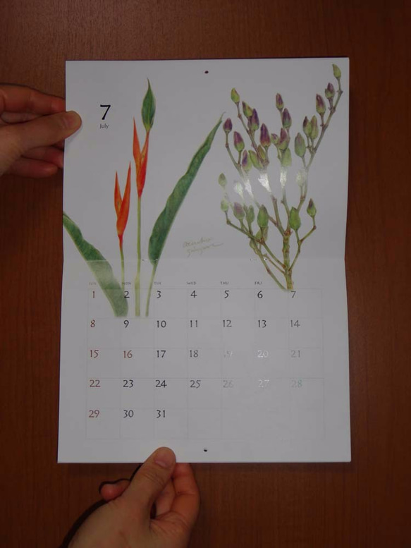 2018年版　色鉛筆で描いた植物のカレンダーA4中綴じ2つ折りタイプ 10枚目の画像