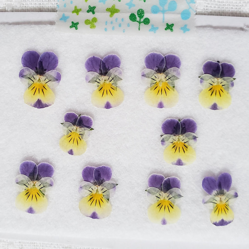 420*☆押し花のヘアゴム