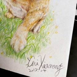 Cai手繪客製化色鉛筆 × 寵物  A4吋_含框 第6張的照片