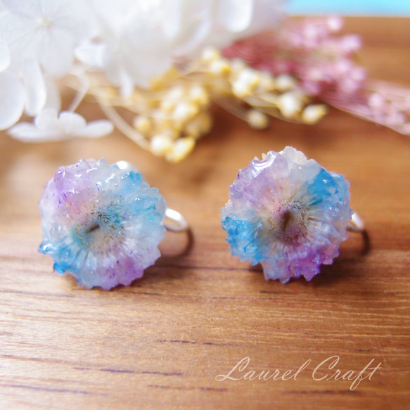 蠟菊 艷彩系列-藍&紫 925銀針耳環/無痛耳夾 第1張的照片