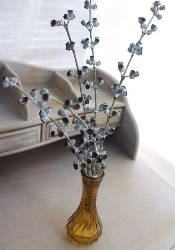 ユーカリドライ＊銀世界 実付き枝ミックス (スワッグ・リース・装飾素材) 2枚目の画像