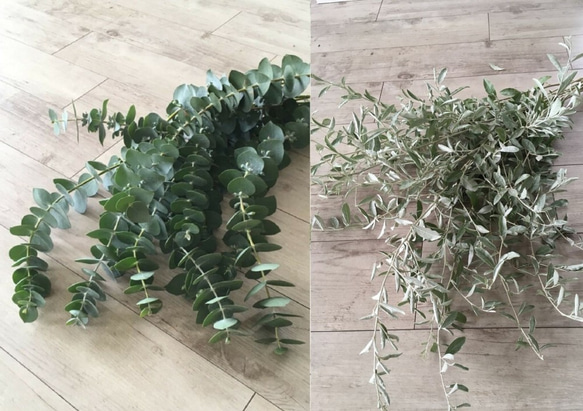 ユーカリ銀世界＆ロシアンオリーブ＊フレッシュ(生花) | スワッグ