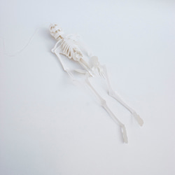 紙ほね01 人体骨格模型キット [ A5 / ミランダ スノーホワイト] 4枚目の画像