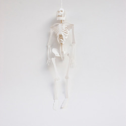 Paper Hone 01人體骨架模型套裝[A5 / Miranda Snow White] 第6張的照片