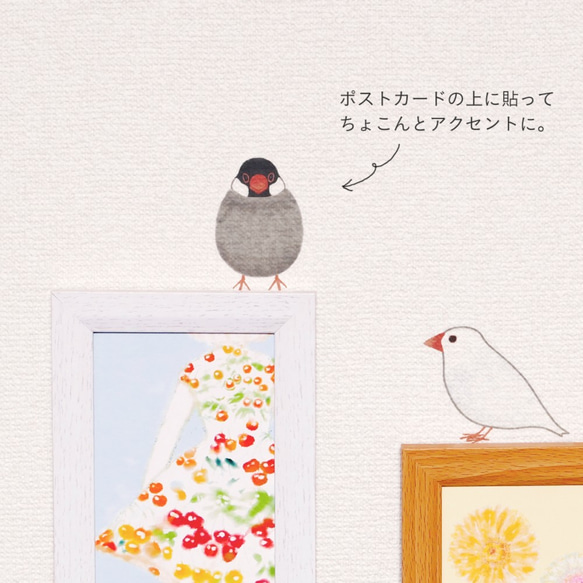 ふくふく文鳥のウォールステッカー 3枚目の画像