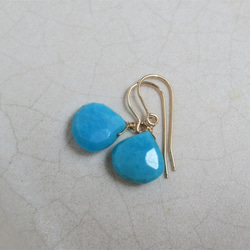 スリーピングビューティー ターコイズマロンカット *** (14kgf