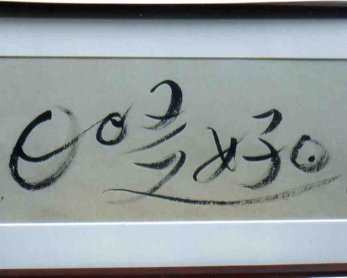 日日是好日 書「日日是好日」（にちにちこれこうじつ） 書道 雅代 通販