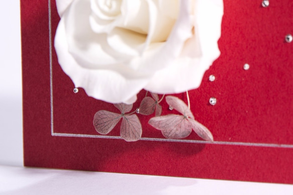 Rosecode花卡片系列  代號：聖潔白玫 第3張的照片