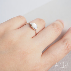 【再販】Silver Ring w／White Shell 4枚目の画像