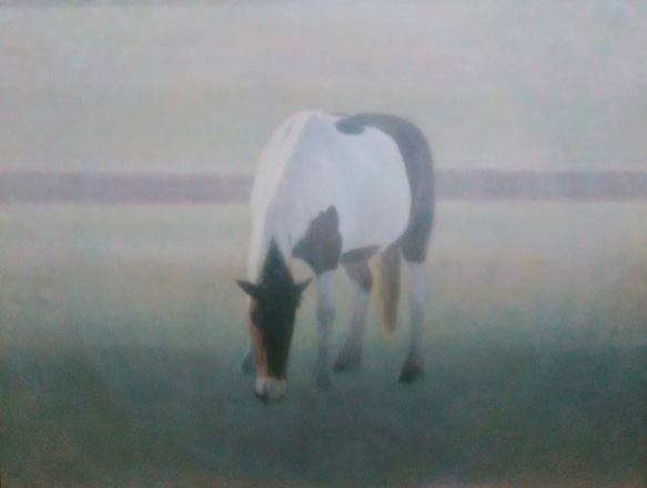 『海辺の馬』F6 油彩 原画 公式ショップ】 海辺の馬』F6 油彩 原画 絵画 - 絵画