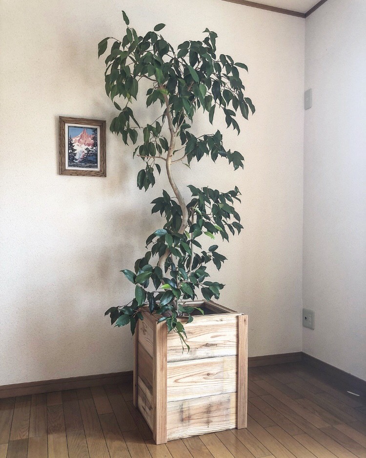 ◯シダーウッド 古材プランターカバー ⚫︎植木鉢カバー 木製