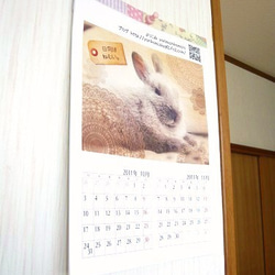 B5壁掛けカレンダー2014年・子ウサギのチロ 1枚目の画像