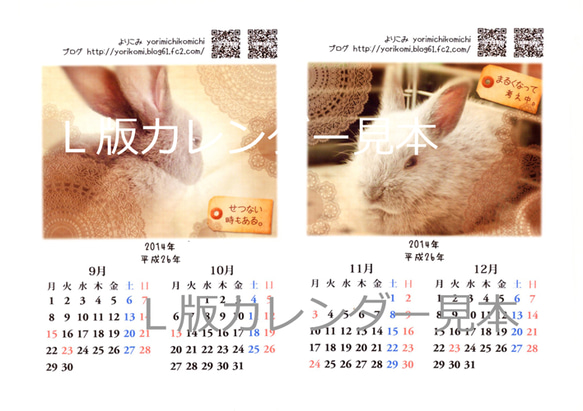B5壁掛けカレンダー2014年・子ウサギのチロ 3枚目の画像