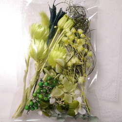花材　濃淡緑系　グリーンミックス　ハーバリウム　アロマワックスバー 2枚目の画像