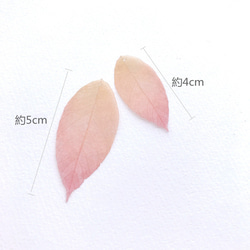 8枚 約5cm   素材   リーフパーツ  秋の色  葉っぱ  シフォンパーツ  アクセサリーパーツ 3枚目の画像
