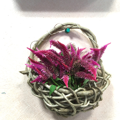 蔓カゴ 壁掛けタイプ 乱れ編み 一輪挿し・花瓶・花器 POTI-poti工房
