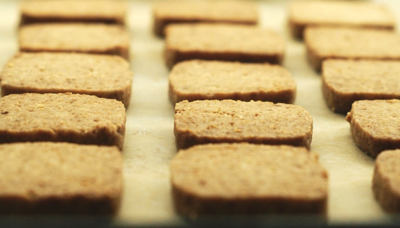 クラムボン  マクロビ ココナッツクッキー 16枚入 / 卵 白砂糖 バター不使用 無添加焼き菓子 3枚目の画像