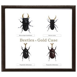 金箔 甲虫×金ツノ 標本風スマホケース【カブトムシ/クワガタ】iPhone