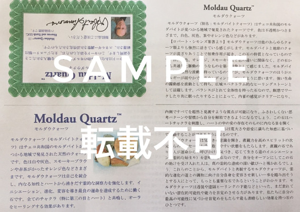 自己肯定感・どんな場でも自信を持って自分らしく✴︎仕事運・対人運✴︎デンドリックリモナイトインクォーツ・モルダウクォーツ 10枚目の画像