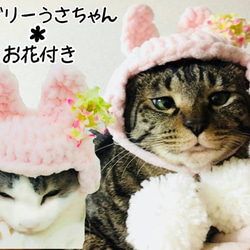 ラブリーうさちゃん＊お花付き帽子 ペット用品 帽子 かぶりもの 猫 1枚目の画像