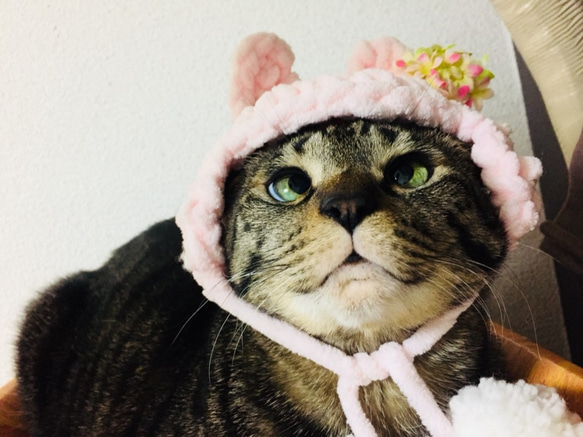 ラブリーうさちゃん＊お花付き帽子 ペット用品 帽子 かぶりもの 猫 3枚目の画像