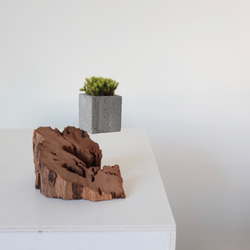 driftwood moss vase s 1枚目の画像
