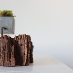 driftwood moss vase s 2枚目の画像