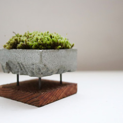 moss-table s 2枚目の画像