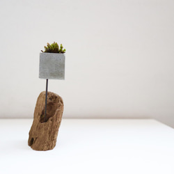 cement-lumber-moss-vase  4 2枚目の画像