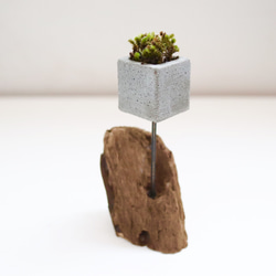 cement-lumber-moss-vase  4 3枚目の画像