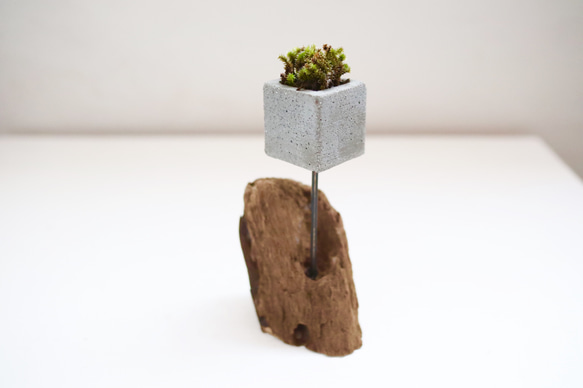 cement-lumber-moss-vase  4 3枚目の画像