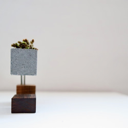 cement-wood-moss-vase14 2枚目の画像