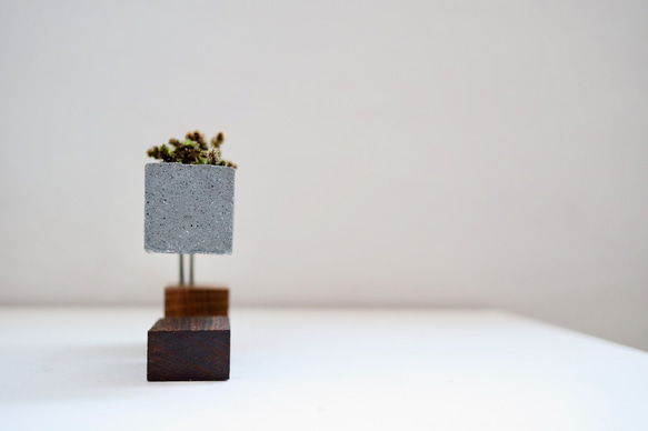 cement-wood-moss-vase14 2枚目の画像